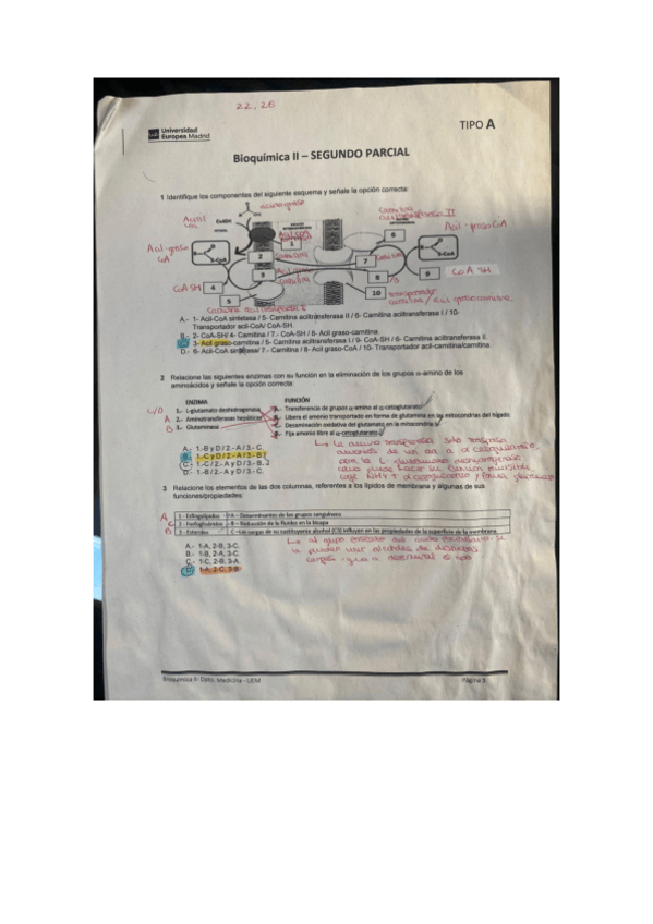 Miniatura del documento PARCIAL-2-CORREGIDO-Bioquimica-II.pdf