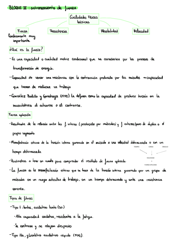 Miniatura del documento Ejercicio-bloque-IIEntrenamiento-de-fuerza.pdf