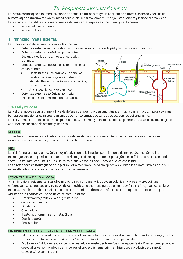 Miniatura del documento T6-Respuesta-inmunitaria-innata-240403190547.pdf