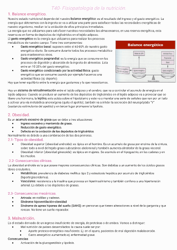 Miniatura del documento T40-Fisiopatologia-de-la-nutricion240402194029.pdf
