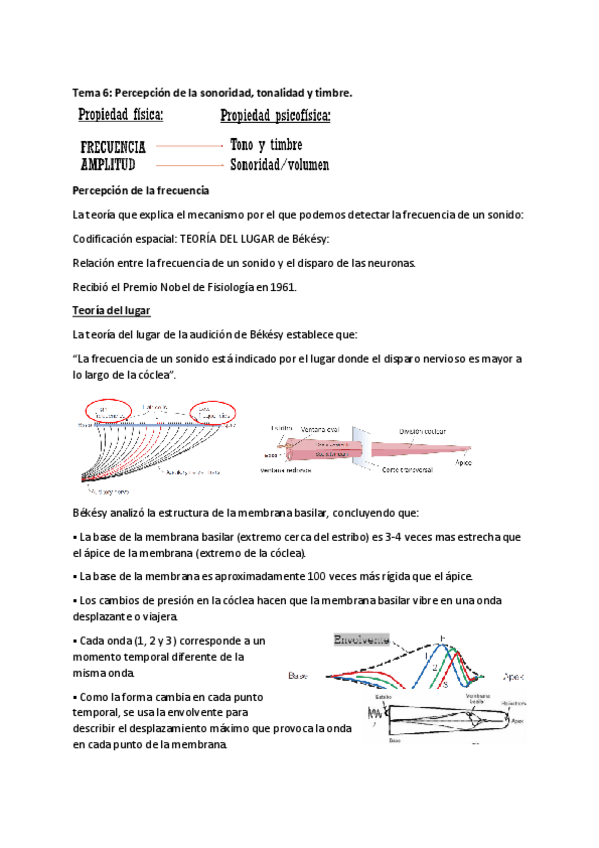 Miniatura del documento PERCEPCION-TEMA-6.pdf