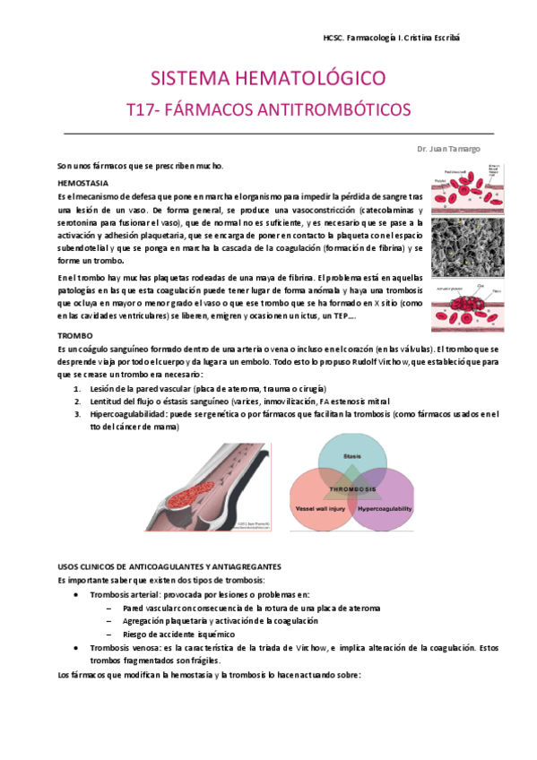 Miniatura del documento Sistema-hematologico.pdf