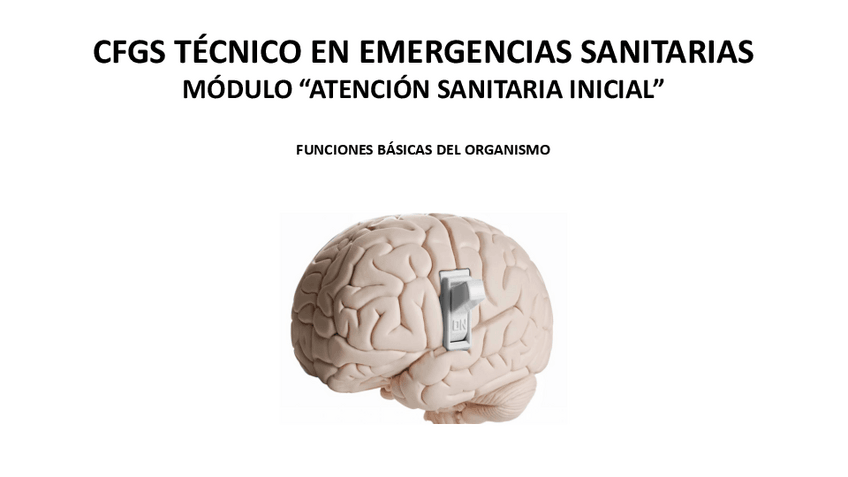 Miniatura del documento FUNCIONES-BASICAS-DEL-ORGANISMO-1a-PARTE-SISTEMA-NERVIOSO.pdf