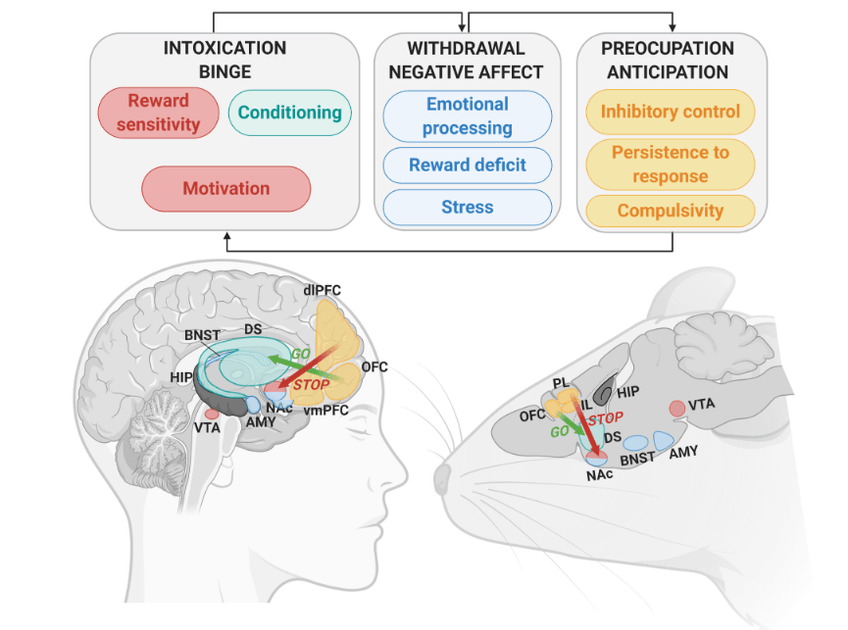Miniatura del documento Captura-de-pantalla-11.png