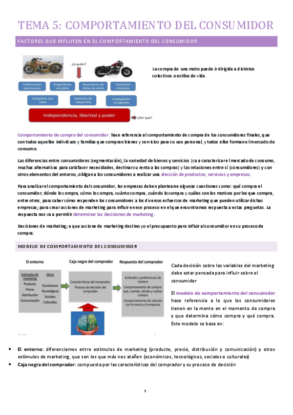Miniatura del documento TEMA-5-direccion-comercial.pdf