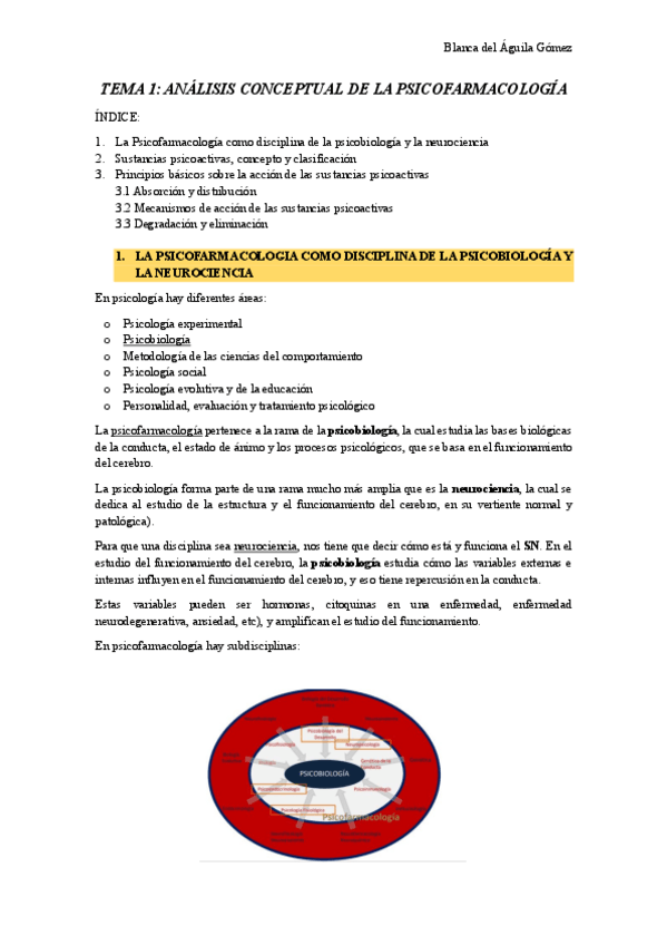 Miniatura del documento Apuntes-tema-1.pdf