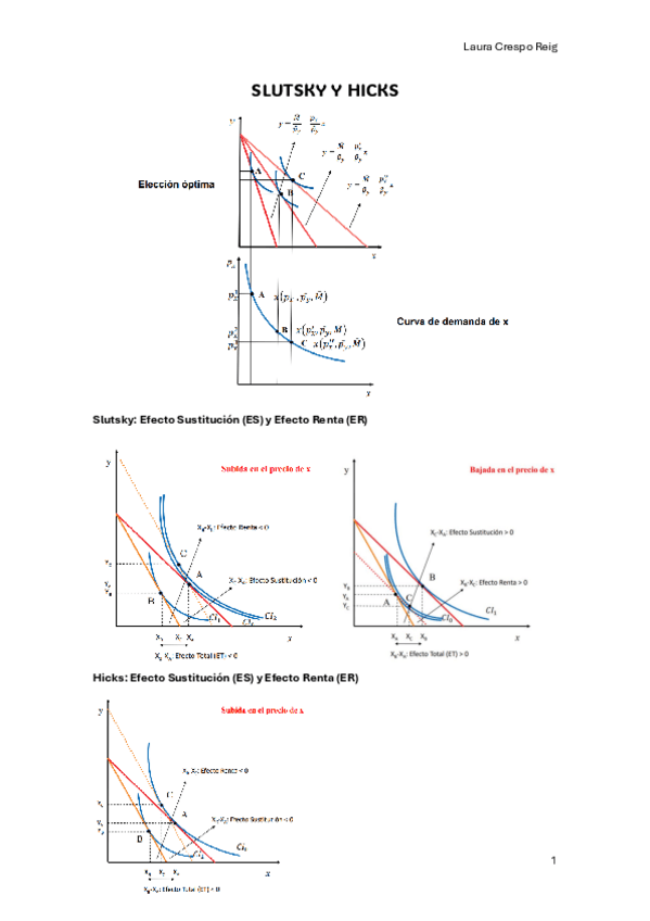 Miniatura del documento SLUTSKY-Y-HICKS.pdf