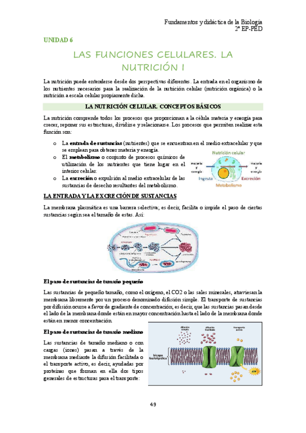 Miniatura del documento unidad-6-bio.pdf