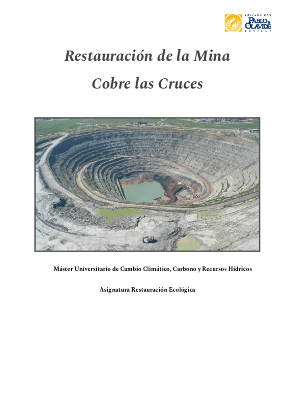 Miniatura del documento Copia-de-Mina-Cobre-las-Crucesfinal.docx.pdf