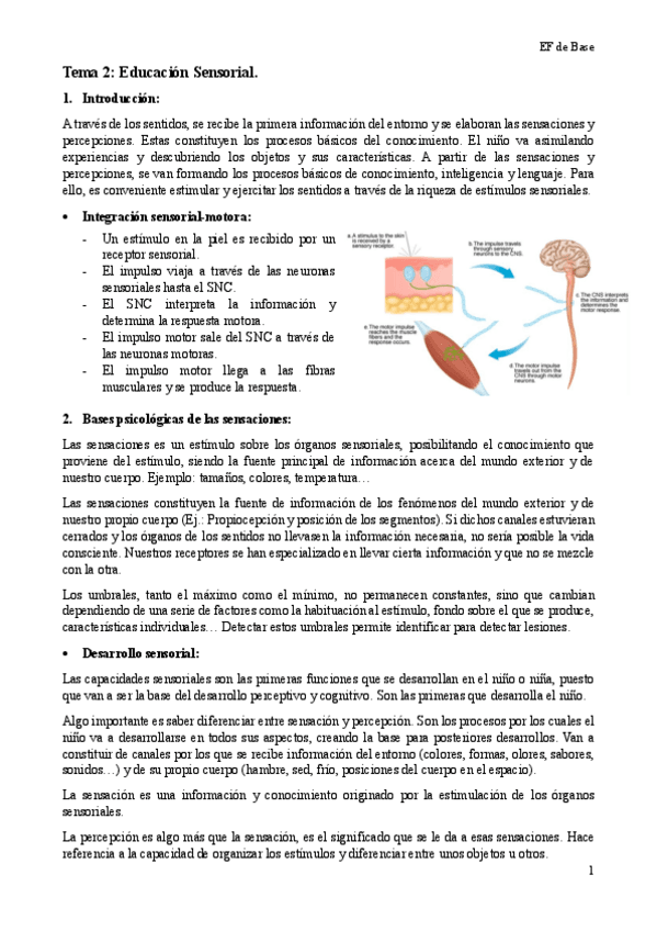 Miniatura del documento Tema-2-EF-Base.pdf