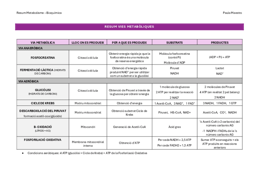 Miniatura del documento Resum vies metabóliques.pdf