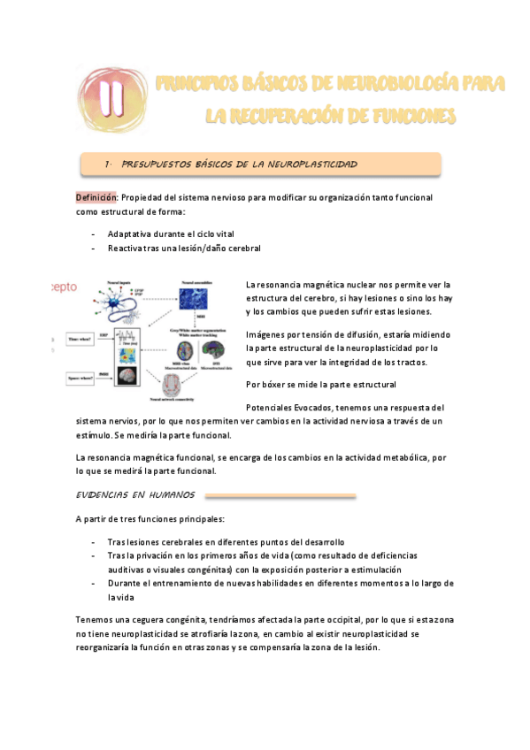 Miniatura del documento TEMA-2-PSICOBIOLOGIA.pdf