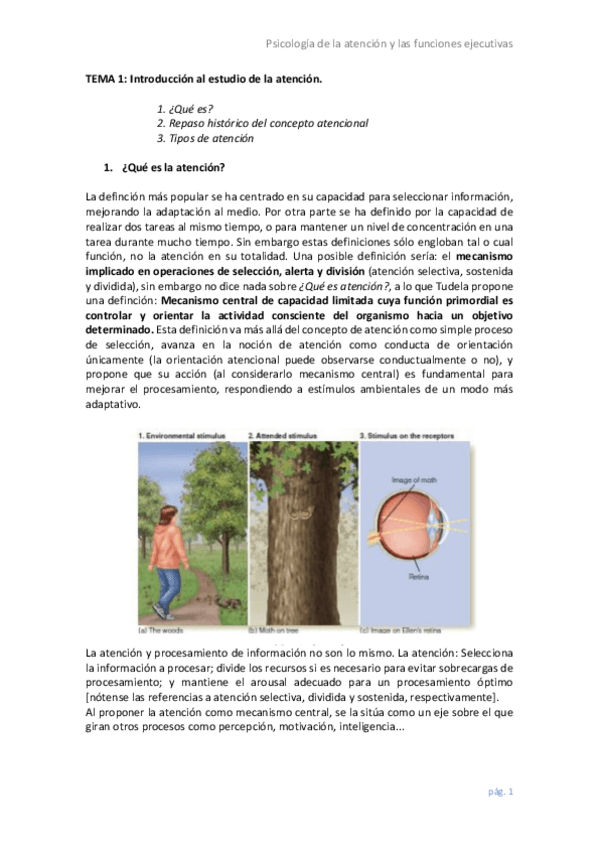 Miniatura del documento Ps. de la atención y las funciones ejecutivas.pdf
