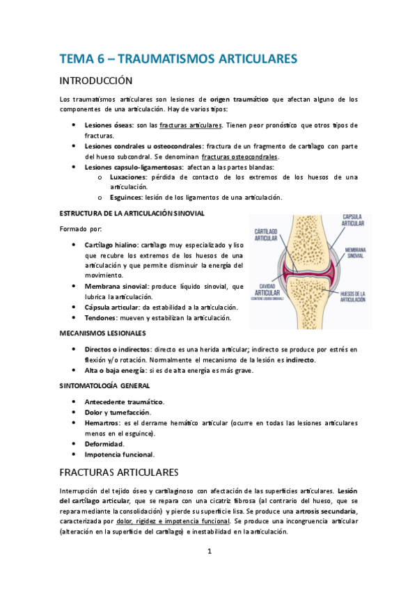 Miniatura del documento Tema-6.-Traumatismos-articulares.pdf