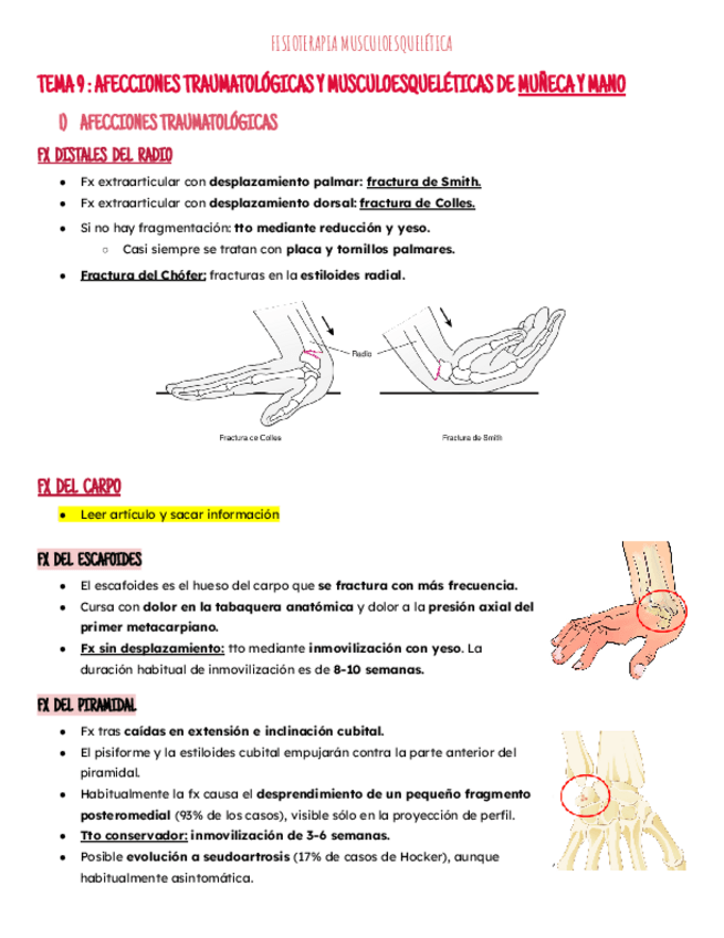 Miniatura del documento Tema 9: mano y muñeca.pdf