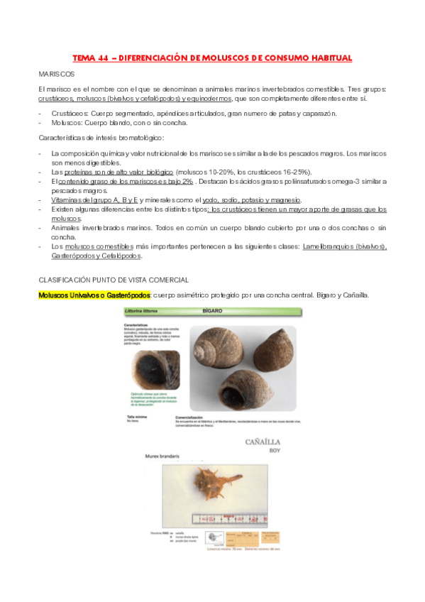 Miniatura del documento Tema-44-Diferenciacion-de-moluscos.pdf