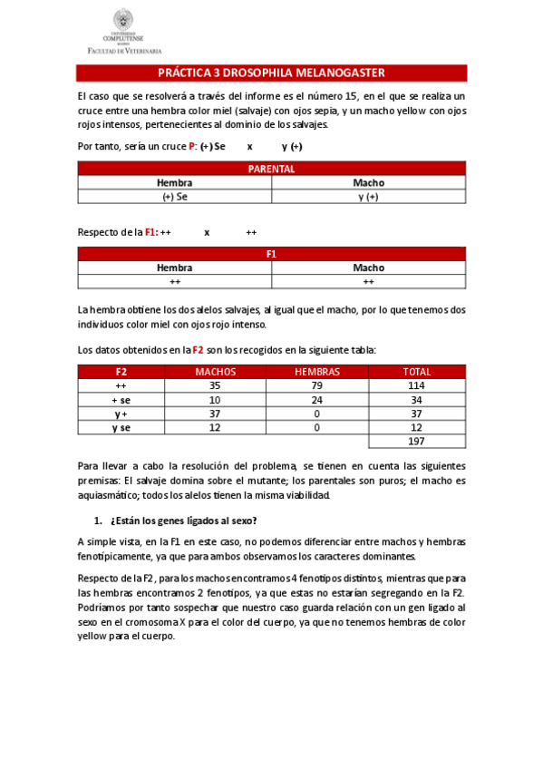 Miniatura del documento PRACTICA-3-DROSOPHILA-MELANOGASTER-caso-15.pdf