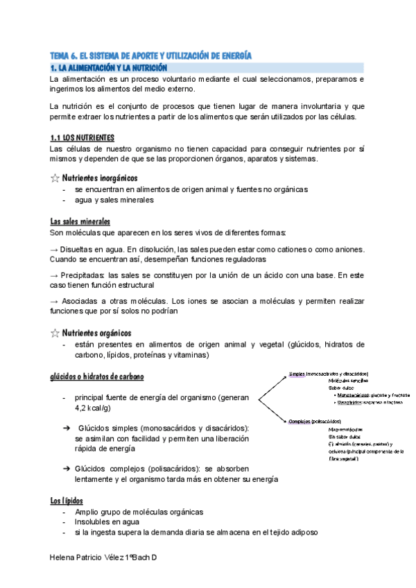 Miniatura del documento TEMA-6.-EL-SISTEMA-DE-APORTE-Y-UTILIZACION-DE-ENERGIA.pdf
