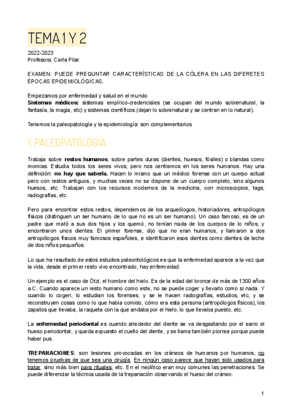 Miniatura del documento TEMA 1 Y 2 (2022-2023).pdf