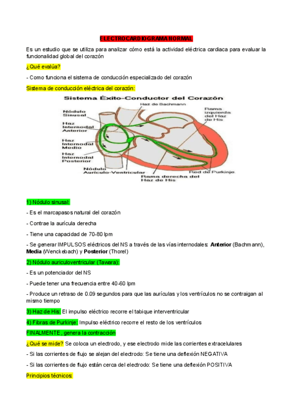 Miniatura del documento ELECTROCARDIOGRAMA.pdf