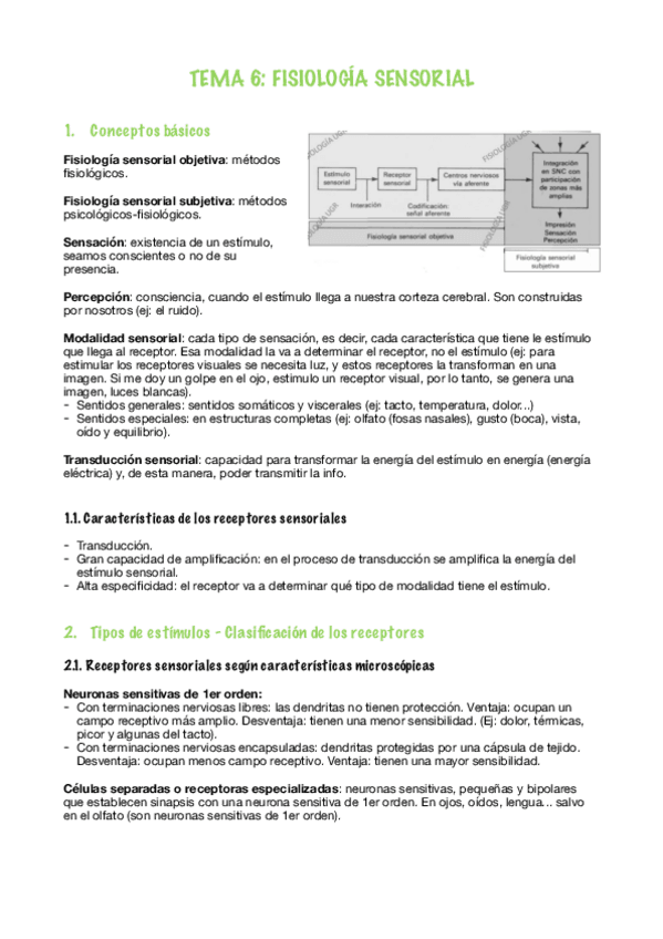 Miniatura del documento Tema-6-Fisiologia.pdf