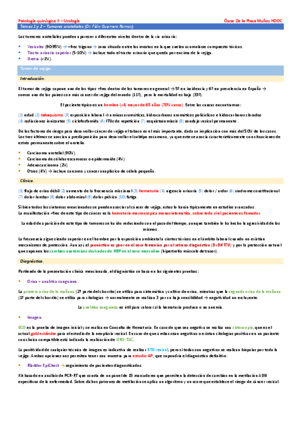 Miniatura del documento Urologia-2324-HDOC.pdf