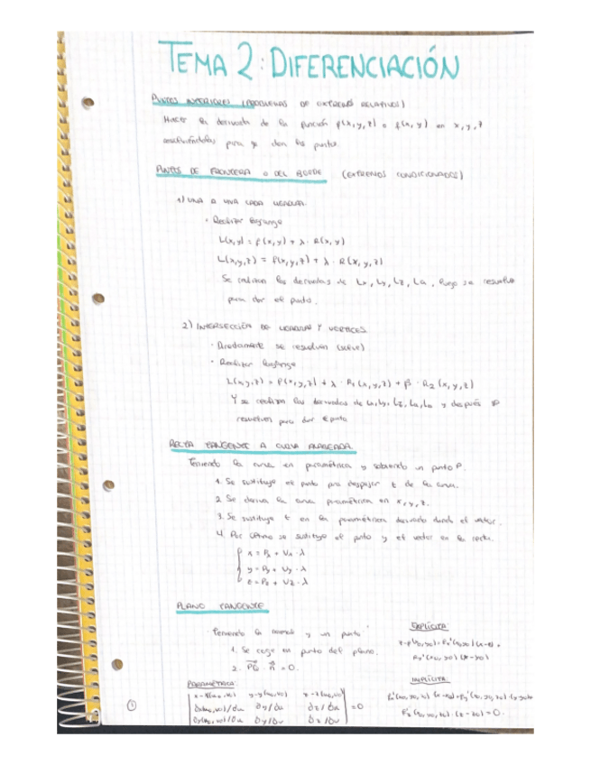 Miniatura del documento TEMA-2-DIFERENCIACION.pdf