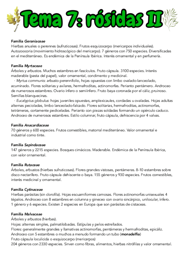 Miniatura del documento TEMA-7-BOTANICA-II.pdf
