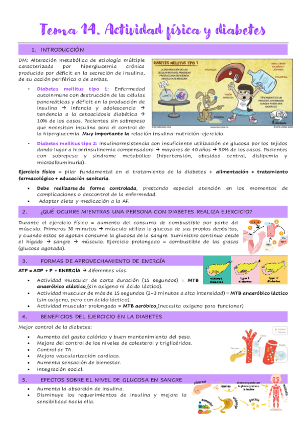 Miniatura del documento Tema-14.-Actividad-fisica-y-diabetes.pdf