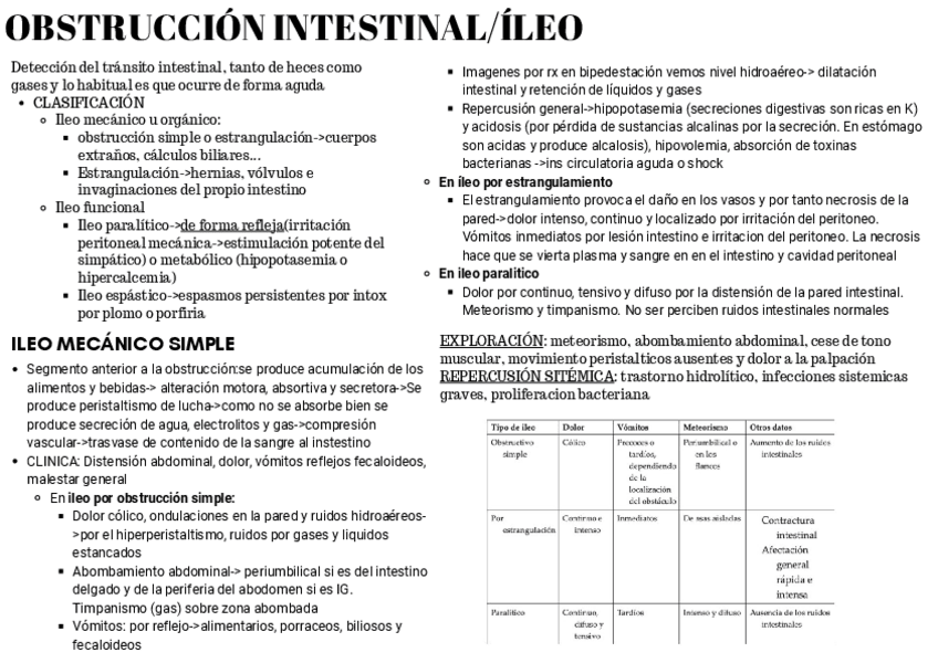 Miniatura del documento resumen-OBSTRUCCION-INTESTINAL.pdf