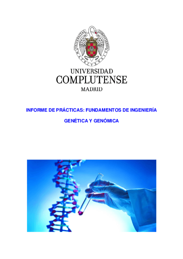 Miniatura del documento Informe-Practicas-FIGG.pdf