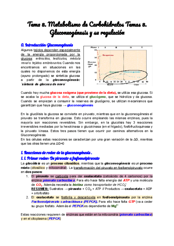 Miniatura del documento Tema-8.-Metabolismo-de-Carbohidratos.-Gluconeogenesis-y-su-regulacion.pdf
