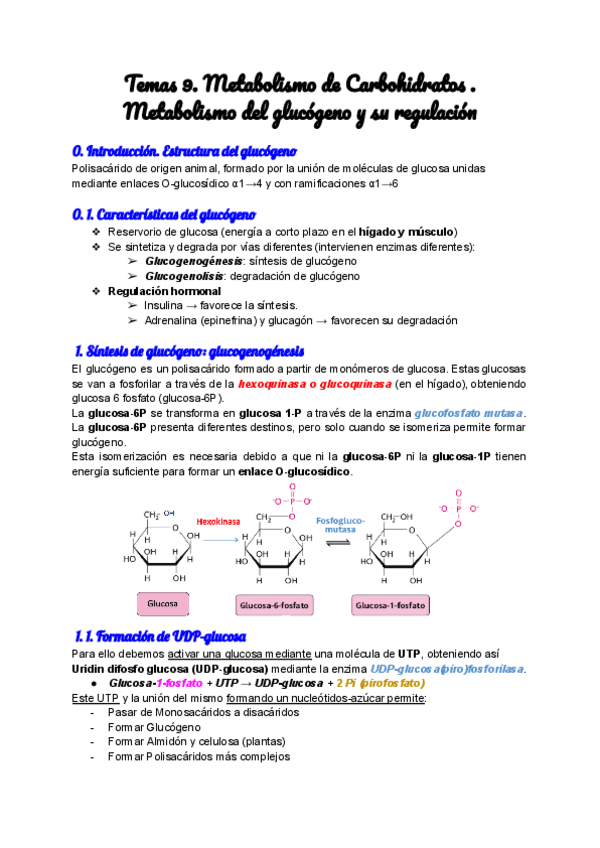 Miniatura del documento Temas-9.-Metabolismo-de-Carbohidratos-.-Metabolismo-del-glucogeno-y-su-regulacion.pdf