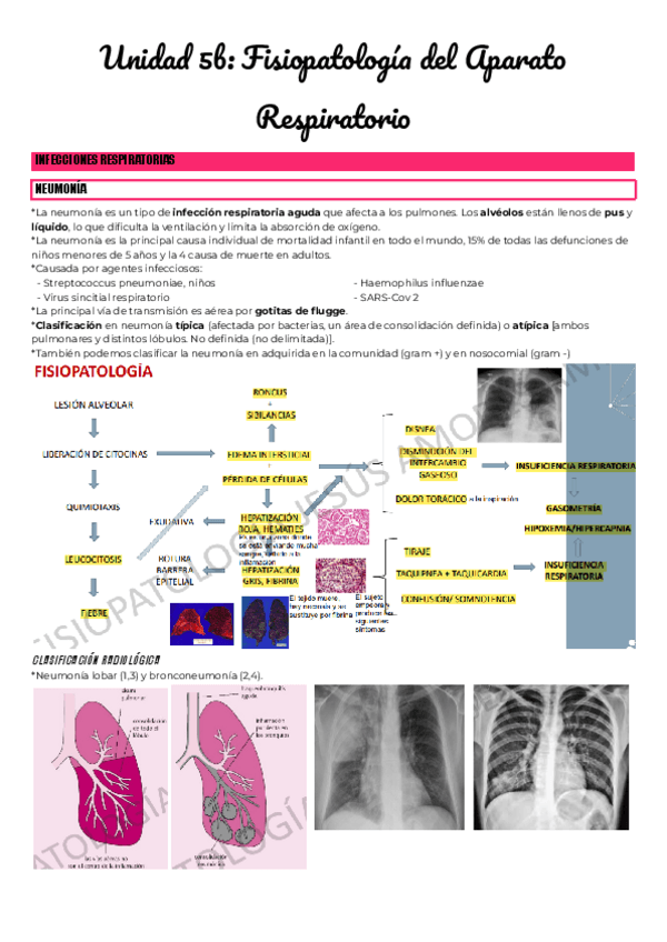 Miniatura del documento Unidad-5b-Fisiopatologia-del-Aparato-Respiratorio.pdf
