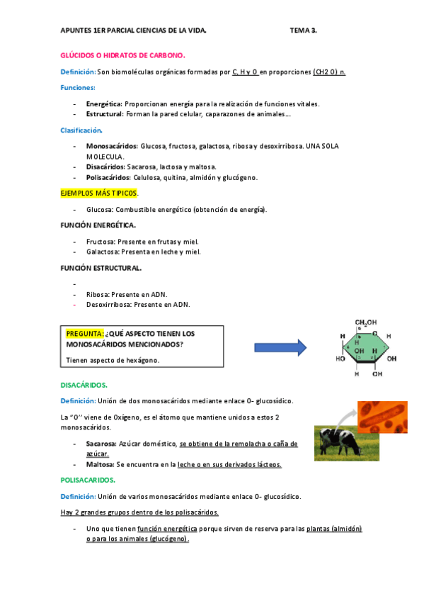 Miniatura del documento TEMA-3-1ER-PARCIAL.pdf
