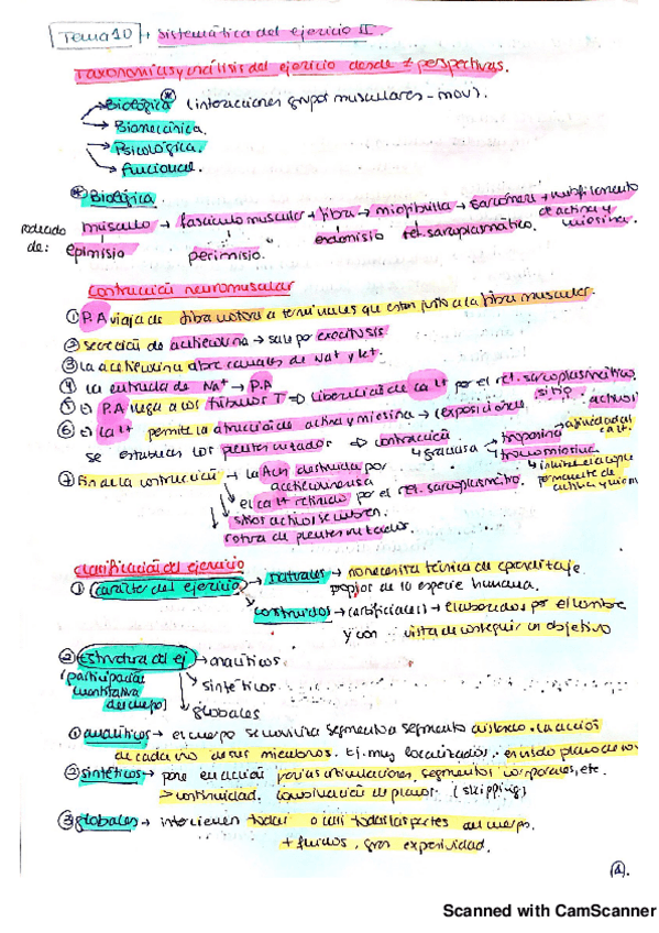 Miniatura del documento t10 sistemática del ejército II_20180918125829339.pdf