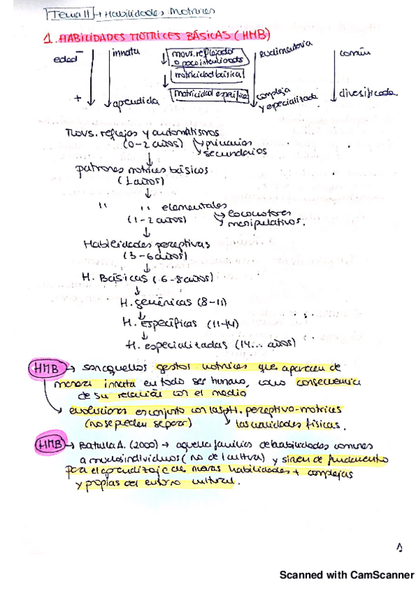 Miniatura del documento t11 habilidades motrices_20180918125842927.pdf