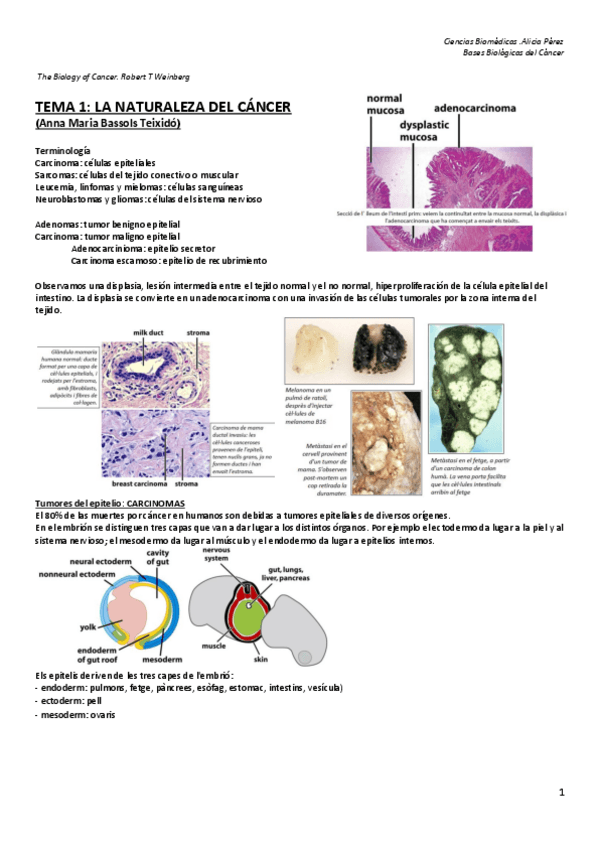 Miniatura del documento BASES BIOLÓGICAS DEL CÁNCER 1.pdf