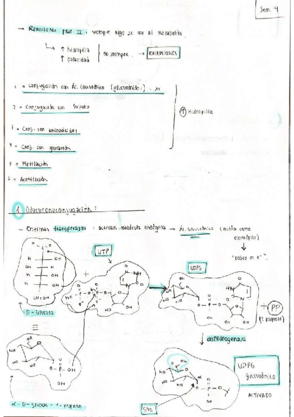 Miniatura del documento Seminario-4-diseno.pdf