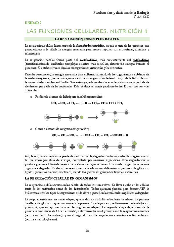 Miniatura del documento unidad-7-bio.pdf