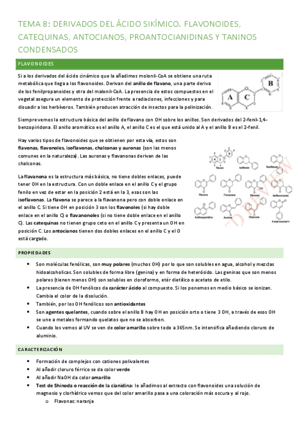 Miniatura del documento Tema-8-derivados-del-acido-shikimico.-flavonoides-catequinas-antocianos-proantocianos-y-taninos-condensados.pdf