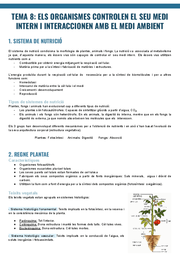 Miniatura del documento TEMA-9.pdf