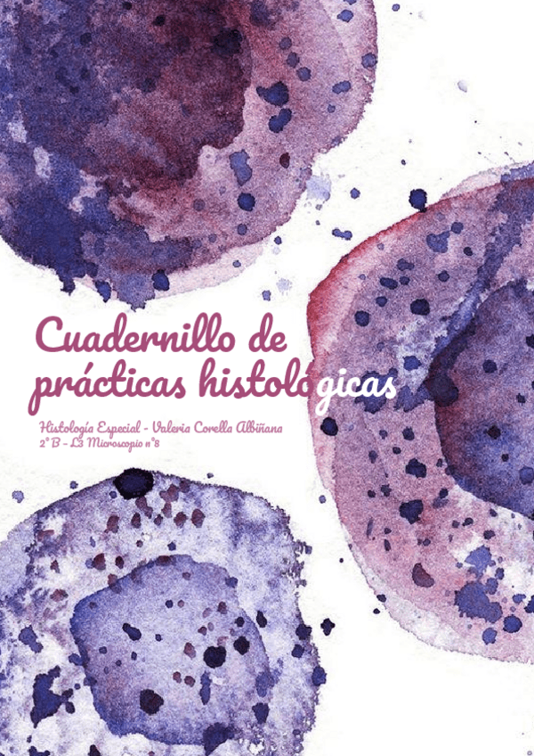 Miniatura del documento CUADERNO-DE-DIBUJOS-HISTOLOGIA-ESPECIAL.pdf