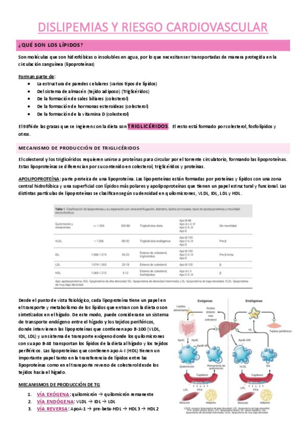 Miniatura del documento dislipemias-y-riesgo-cardiovascular.pdf
