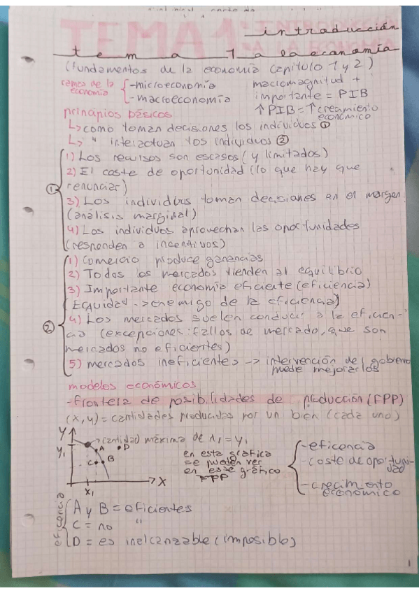 Miniatura del documento TEMA-1-2-Y-3-introduccion-mercados-oferta-y-demanda-y-regulacion.pdf