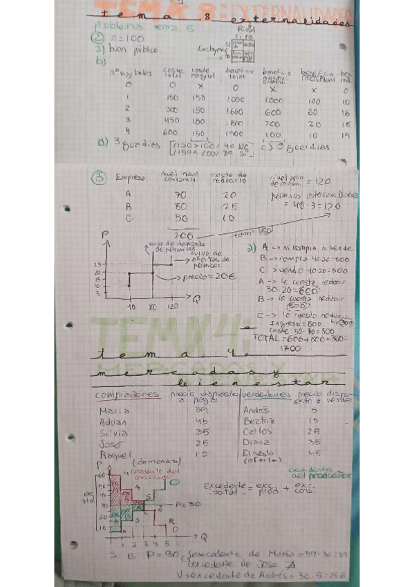 Miniatura del documento TEMA-84-Y-5-extrenalidades-mercados-y-bienestar-y-comercio-internacional.pdf