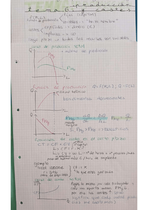 Miniatura del documento TEMA-6-Y-7-produccion-y-costes-y-tipos-de-estructura-de-mercado.pdf