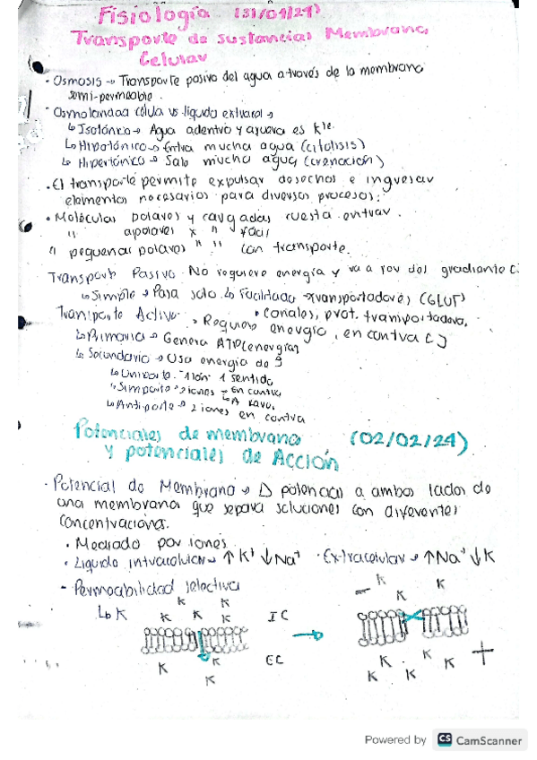 Miniatura del documento Temas-Fisiologia.pdf