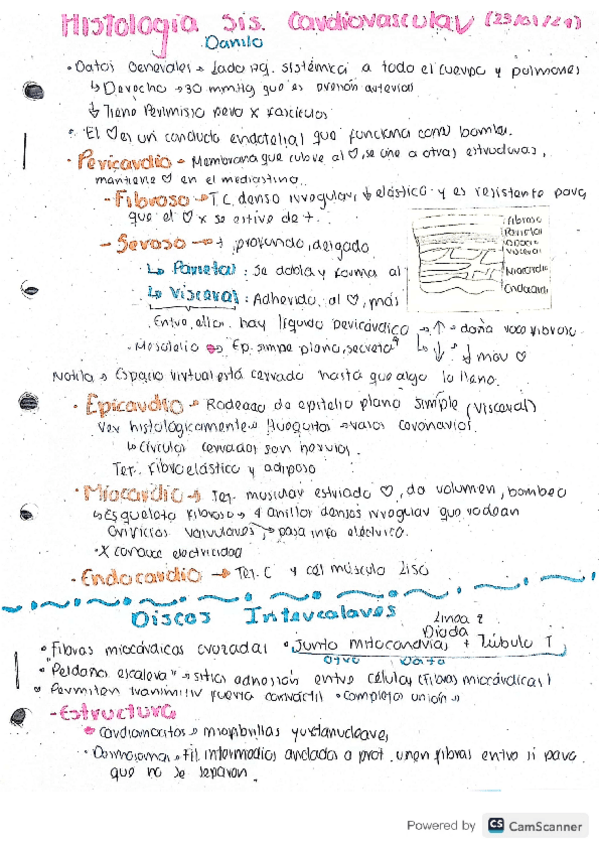Miniatura del documento Histologia-sistema-cardiovascular-y-sangre.pdf
