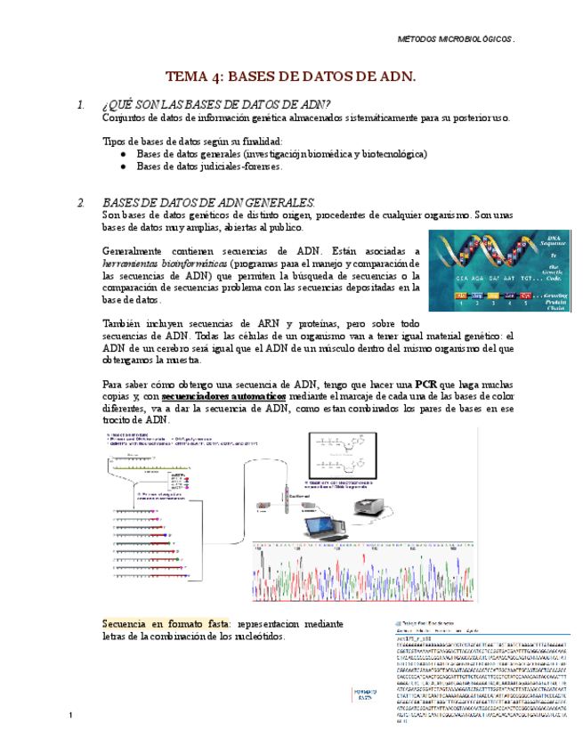 Miniatura del documento TEMA-4-metodos-microbiologicos.pdf